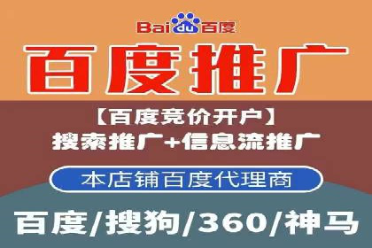 某公司通过百度竞价实现业务快速增长的案例
